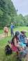 img-20260603-wa0000-1.jpg